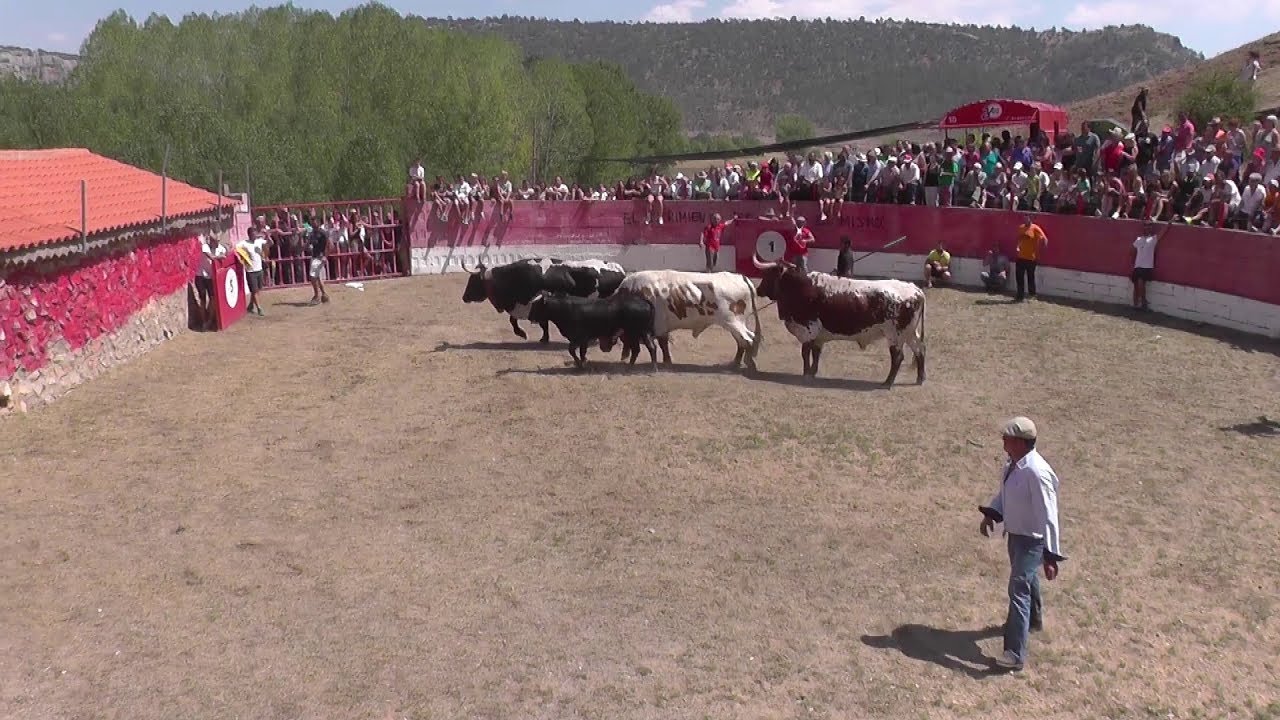 Plaza de toros de 