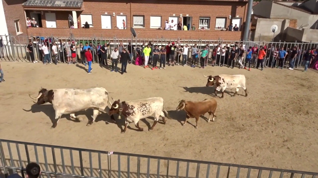 Plaza de toros de 