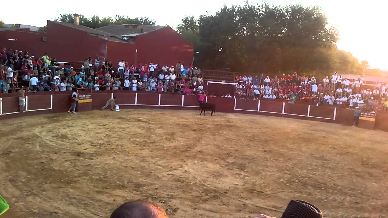 Plaza de toros de 