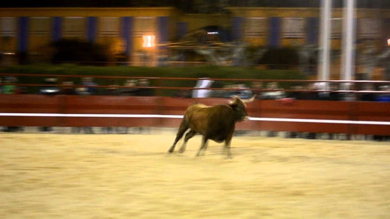 Plaza de toros de 