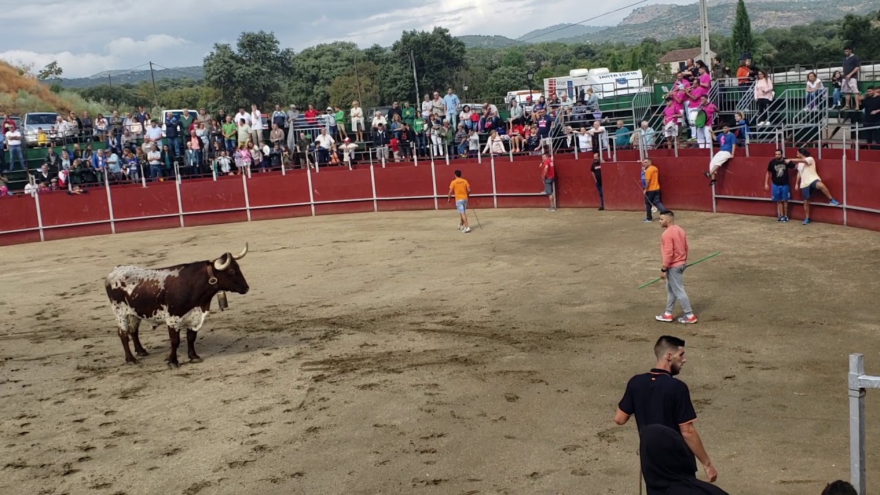 Plaza de toros de 