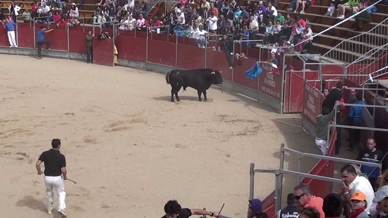 Plaza de toros de 