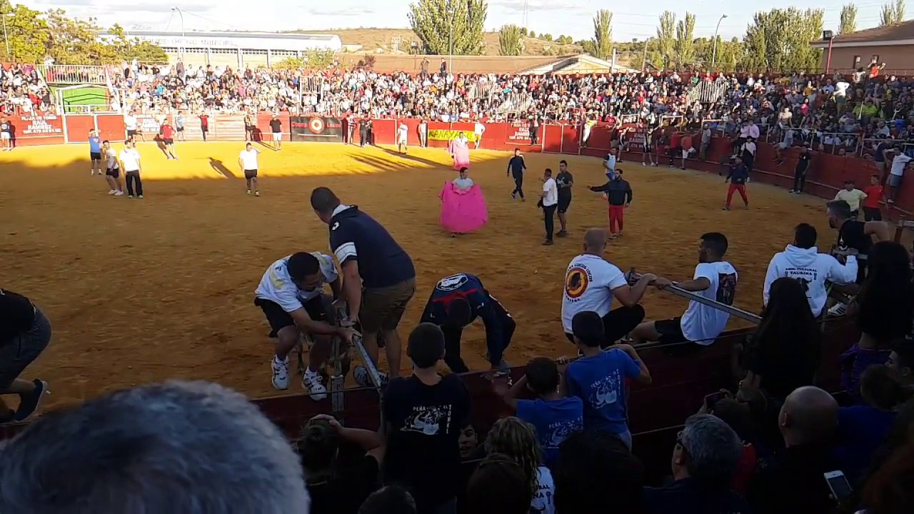 Plaza de toros de 