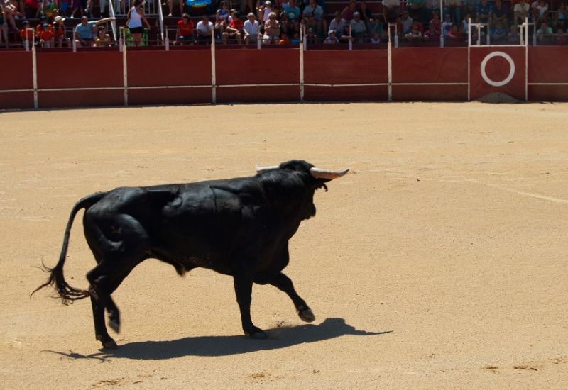 Plaza de toros de 