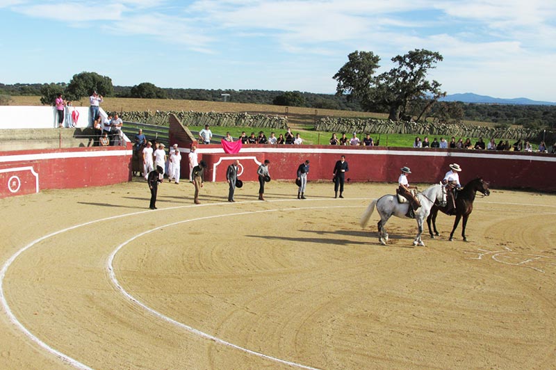 Plaza de toros de 