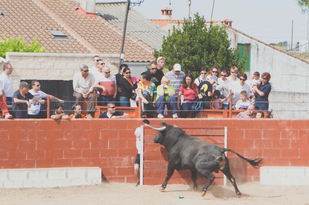 Plaza de toros de 