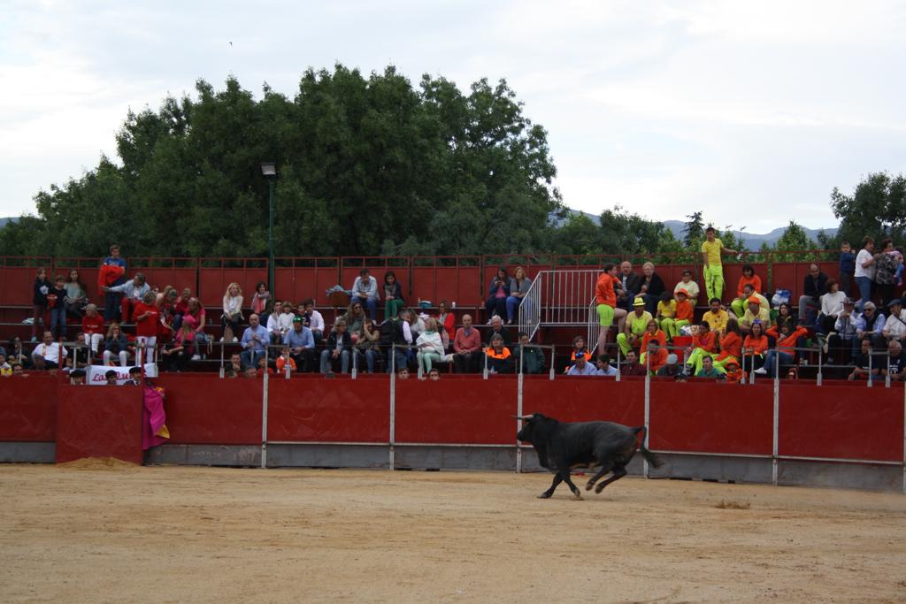 Plaza de toros de 