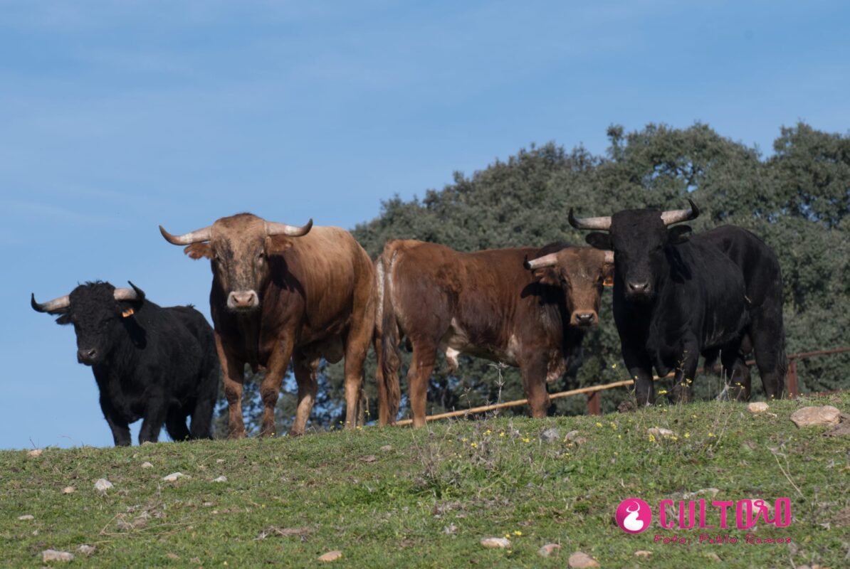 Guadalest 3