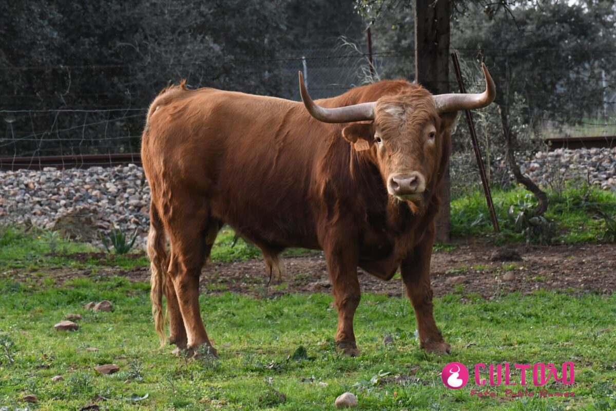 Penas Blancas 16