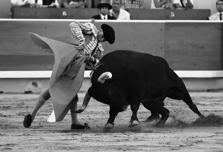 Pamplona sigue cerrando nombres: así están los carteles de la Feria del Toro 2024