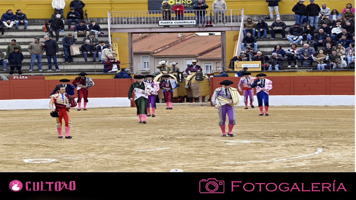 Plantilla Fotogaleria Novillada S.a.guadalix