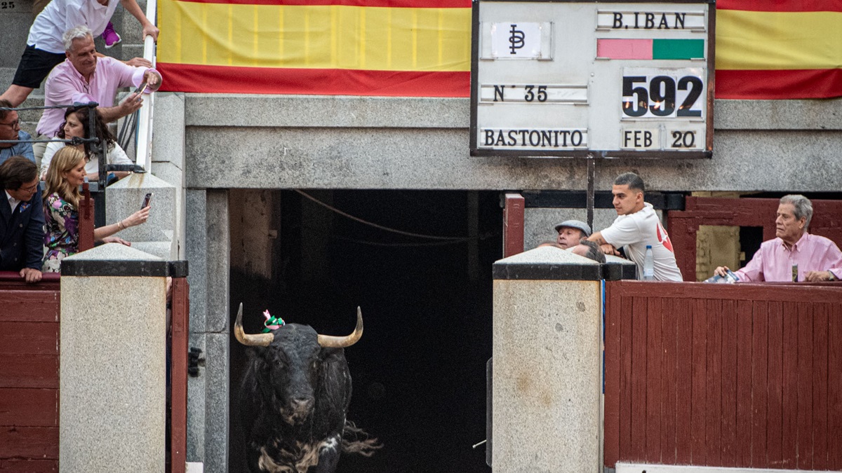 Los toros importantes de lo que va de San Isidro – Cultoro.es