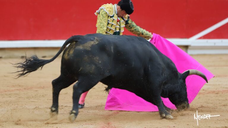 «Campanilla», de Toros de Cortés, se alza con el trofeo «Carriquiri» de la Feria del Toro