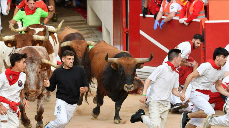 Peligroso último encierro de Miura, que cierra San Fermín con una espectacular carrera