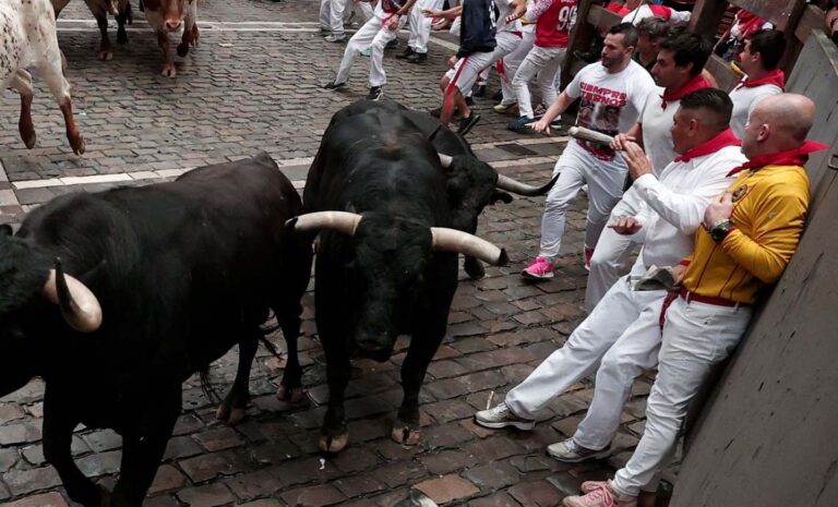 Los de Victoriano vuelan en Pamplona en un peligroso, pero limpio encierro con dos contusiones