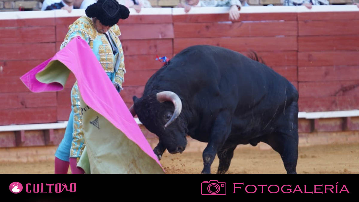 Fotogalería Huelva 2 8 2024