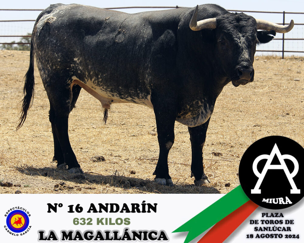 Nº 16 Andarín