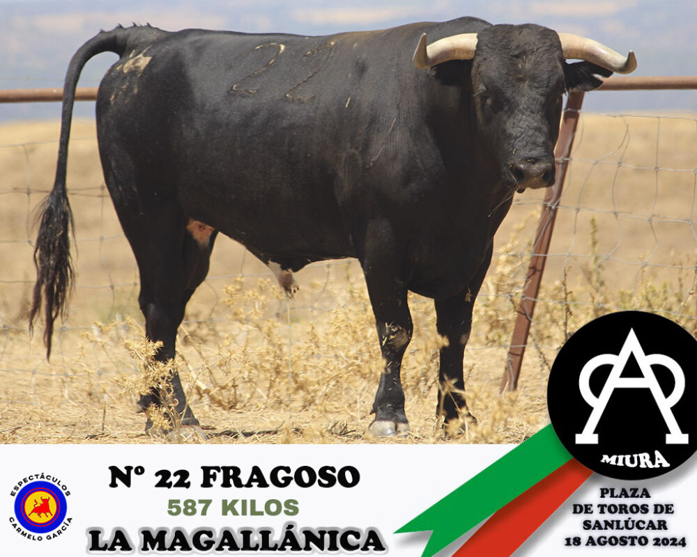 Nº 22 Fragoso