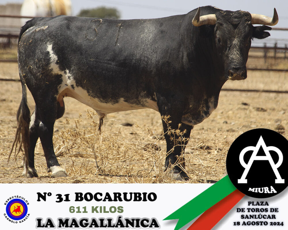 Nº 31 Bocarubio