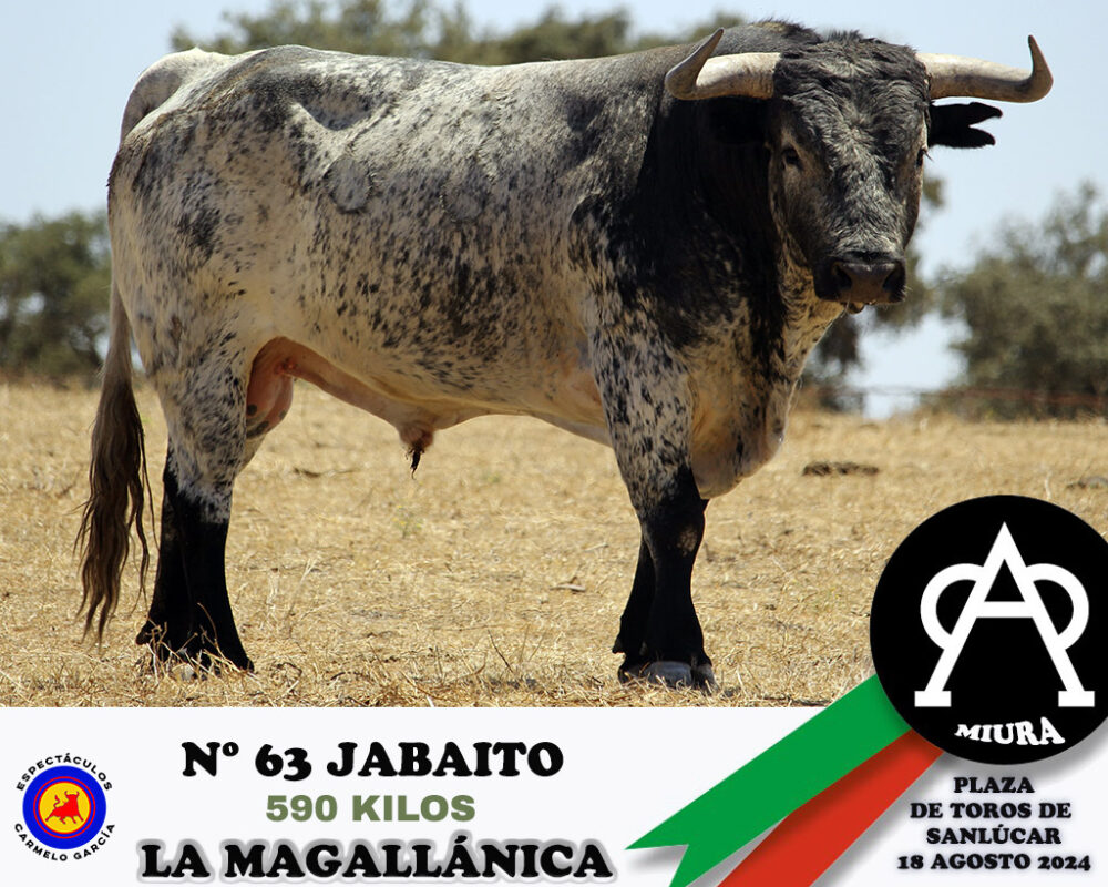 Nº 63 Jabaito