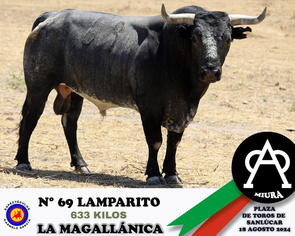 Nº 69 Lamparito