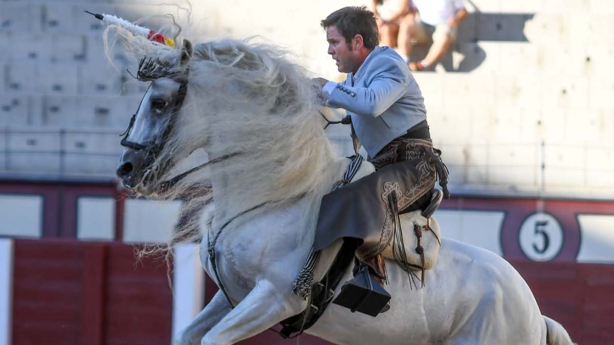 Sergio Domínguez