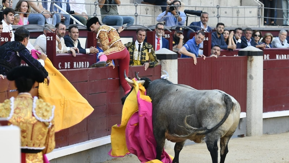 Partido de Resina