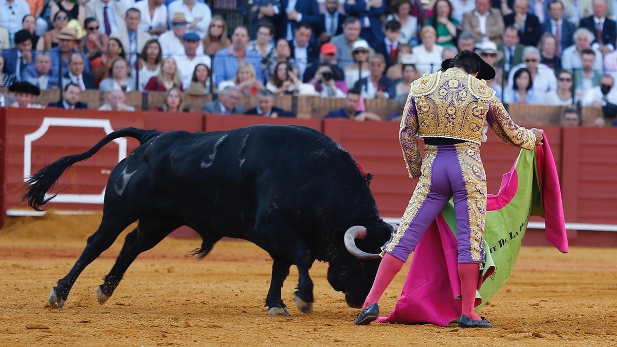 Morante lancea a la verónica a un toro de Cuvillo en Sevilla. © Arjona-Pagés