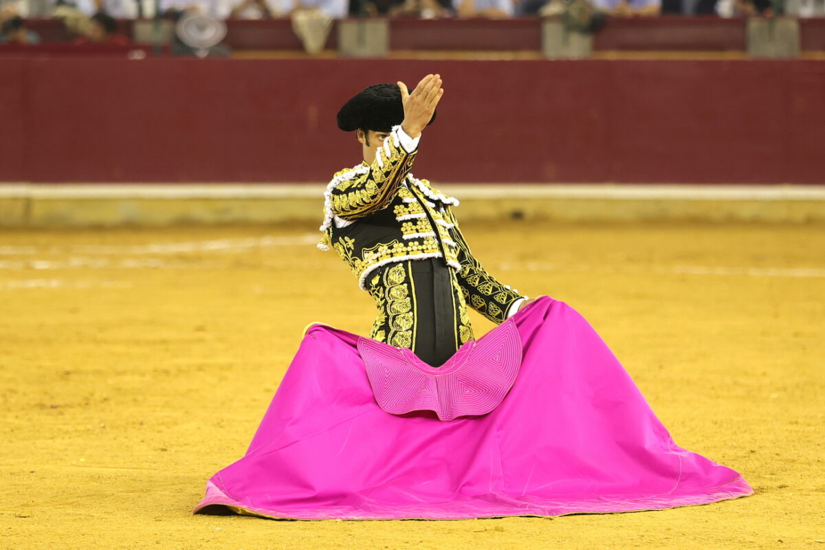 2298 Zaragoza 09 10 2024 Corrida Concurso © Philippe Gil Mir