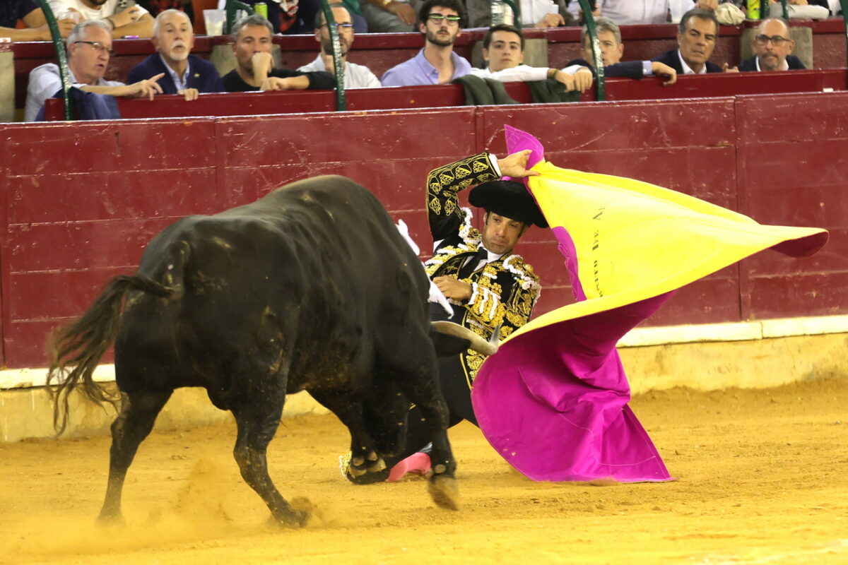 2327 Zaragoza 09 10 2024 Corrida Concurso © Philippe Gil Mir