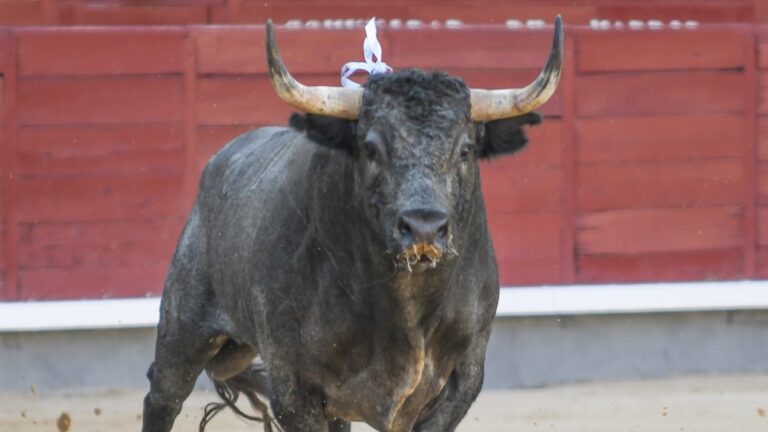 Plaza 1 dibuja Ramos y Resurrección con dos hierros de explosión