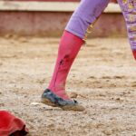 Toros Detalle