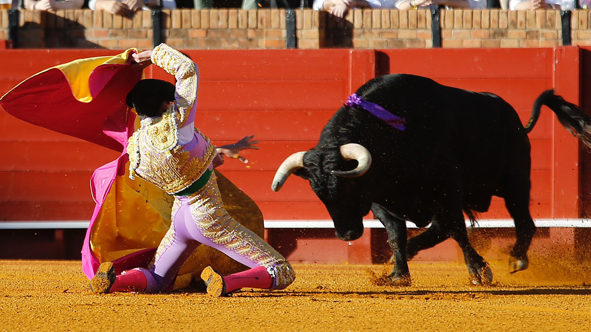 Marcopérez