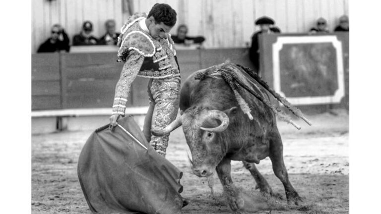Fernando Adrián y una tarde de toreo roto con una destacada corrida de Virgen María