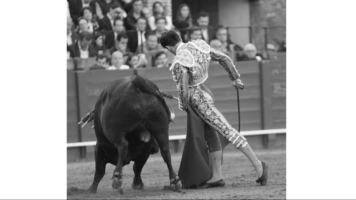 El sello templado de Ginés, también en Sevilla