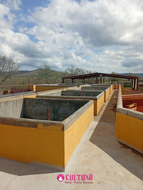 Aldeanueva (1)