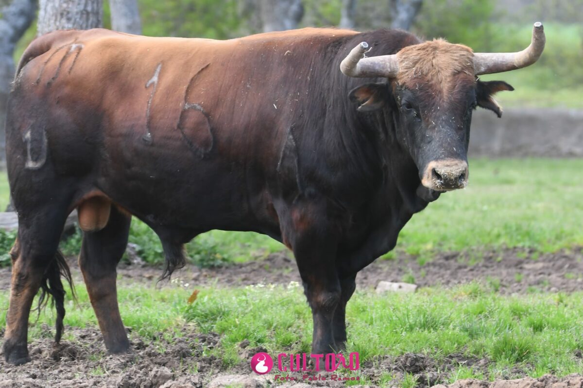 Aldeanueva (34)