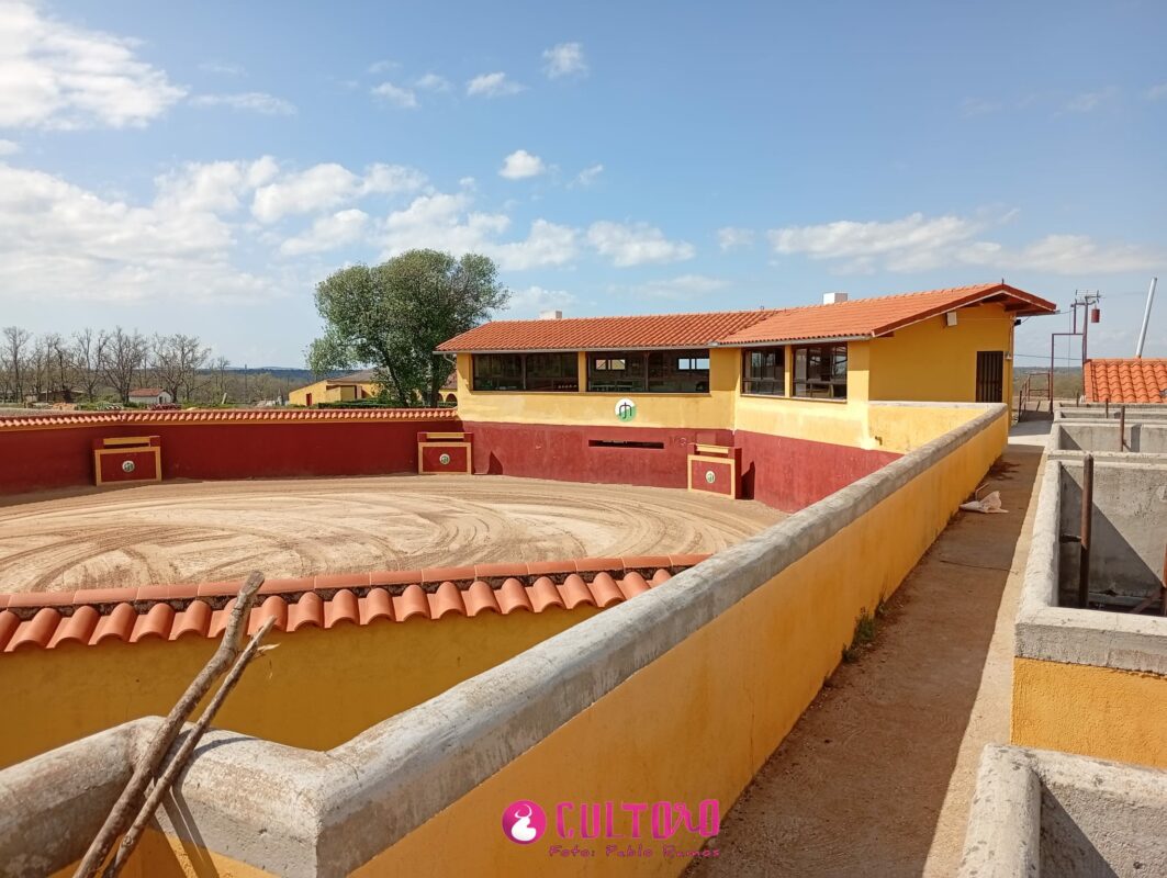 Aldeanueva (7)
