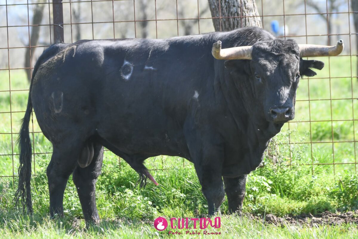 Aldeanueva (9)