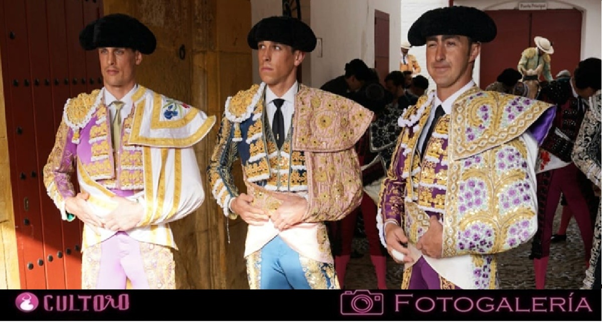 Galeria
