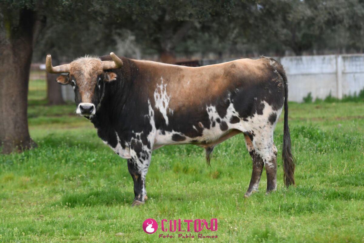 Pedraza (20)