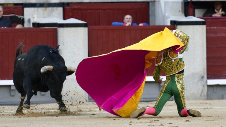 La televisión murciana también negocia la vuelta de los toros a su cadena con 11 corridas de San Isidro