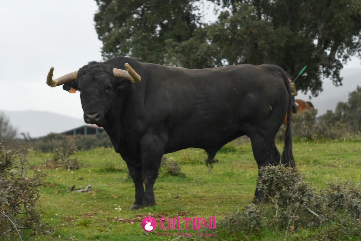Puerto San Lorenzo (7)