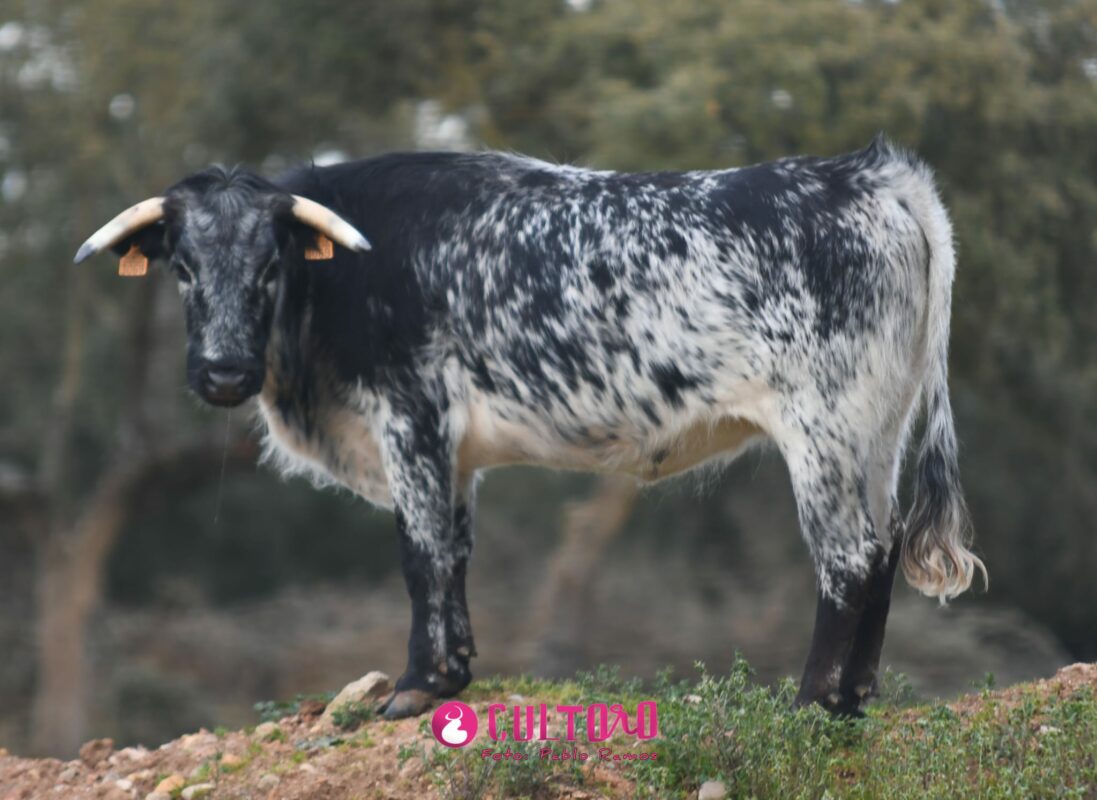 Valdefresno (1)