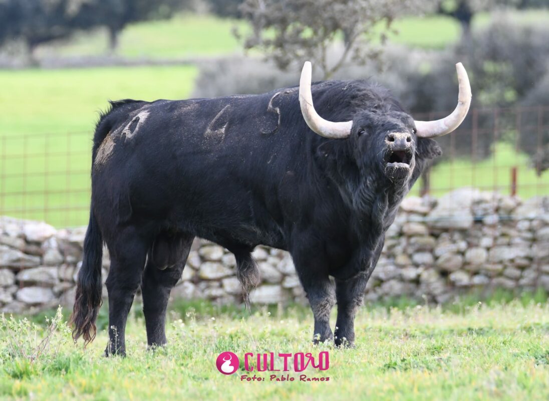 Valdefresno (10)