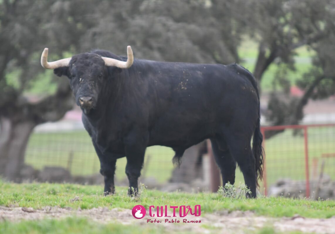 Valdefresno (13)