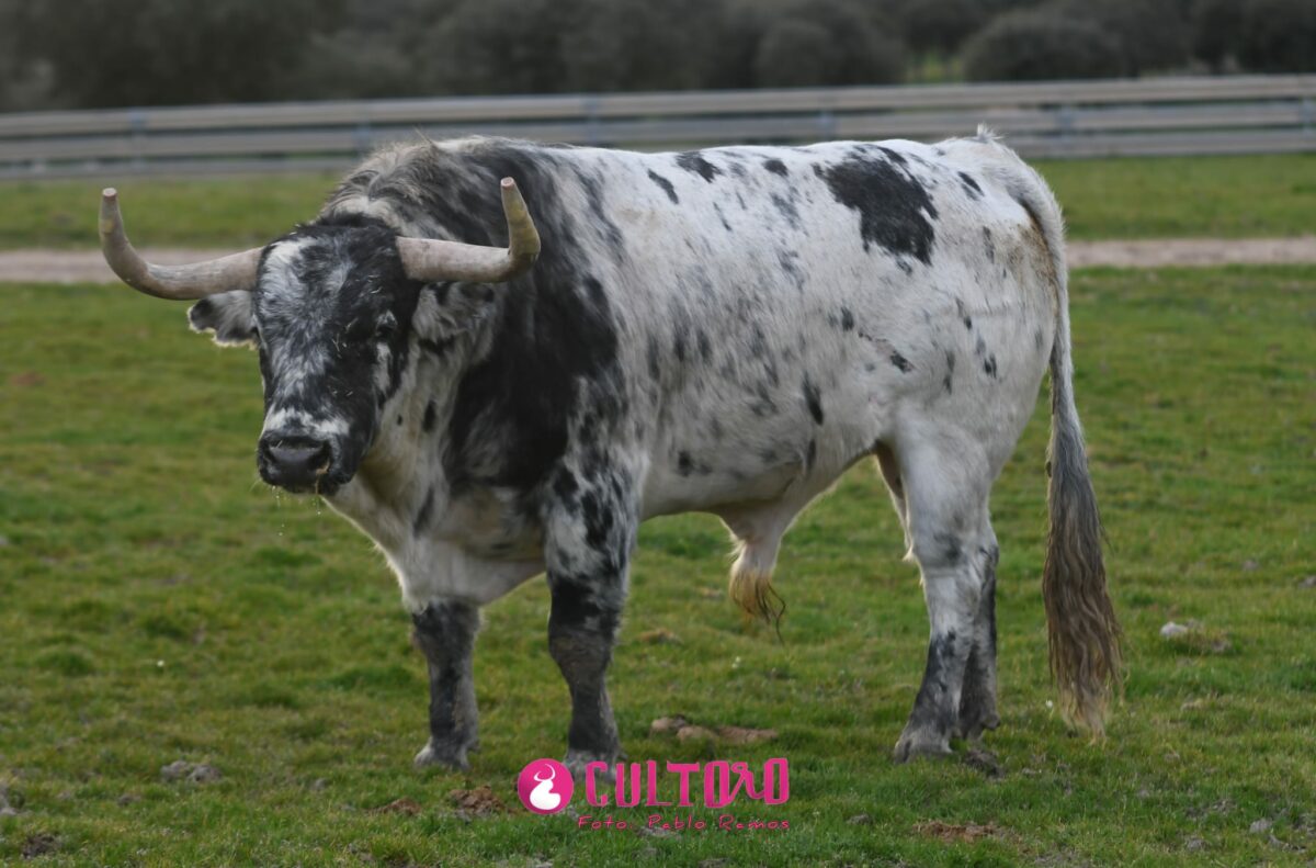 Valdefresno (14)
