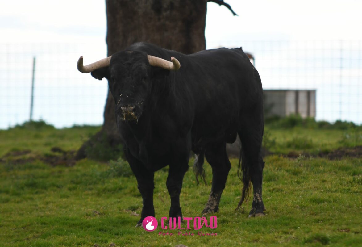 Valdefresno (15)
