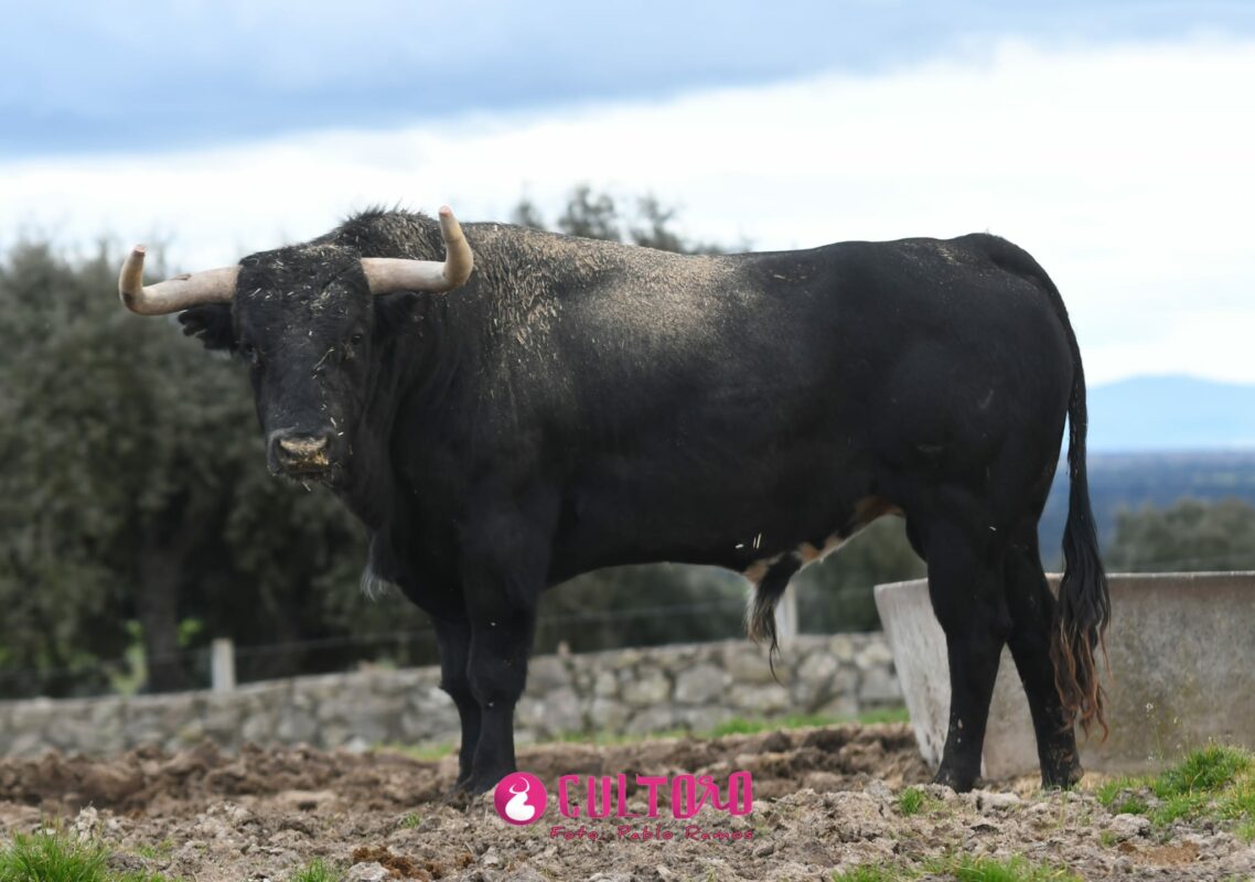 Valdefresno (17)