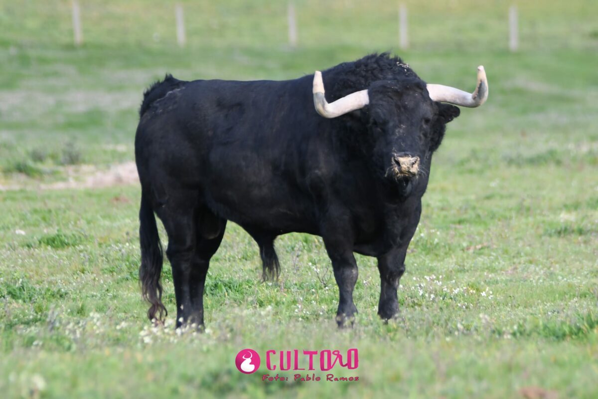 Valdefresno (20)